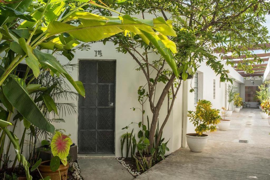 Hostel El Tigre De Santiago