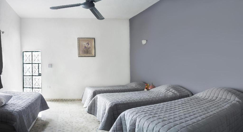 Hostel El Tigre De Santiago Merida